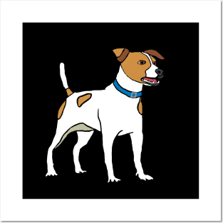 Jack Russell Terrier Posters and Art